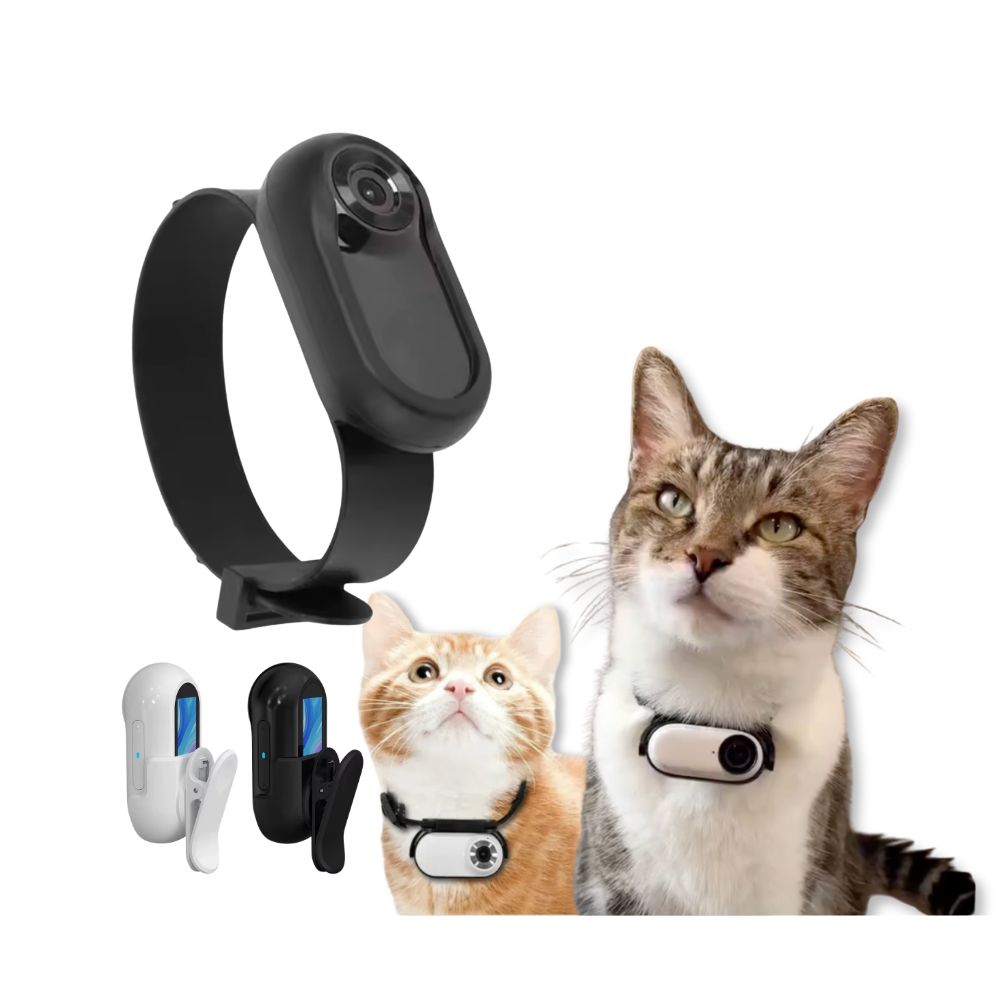 PET COLLAR CAMERA