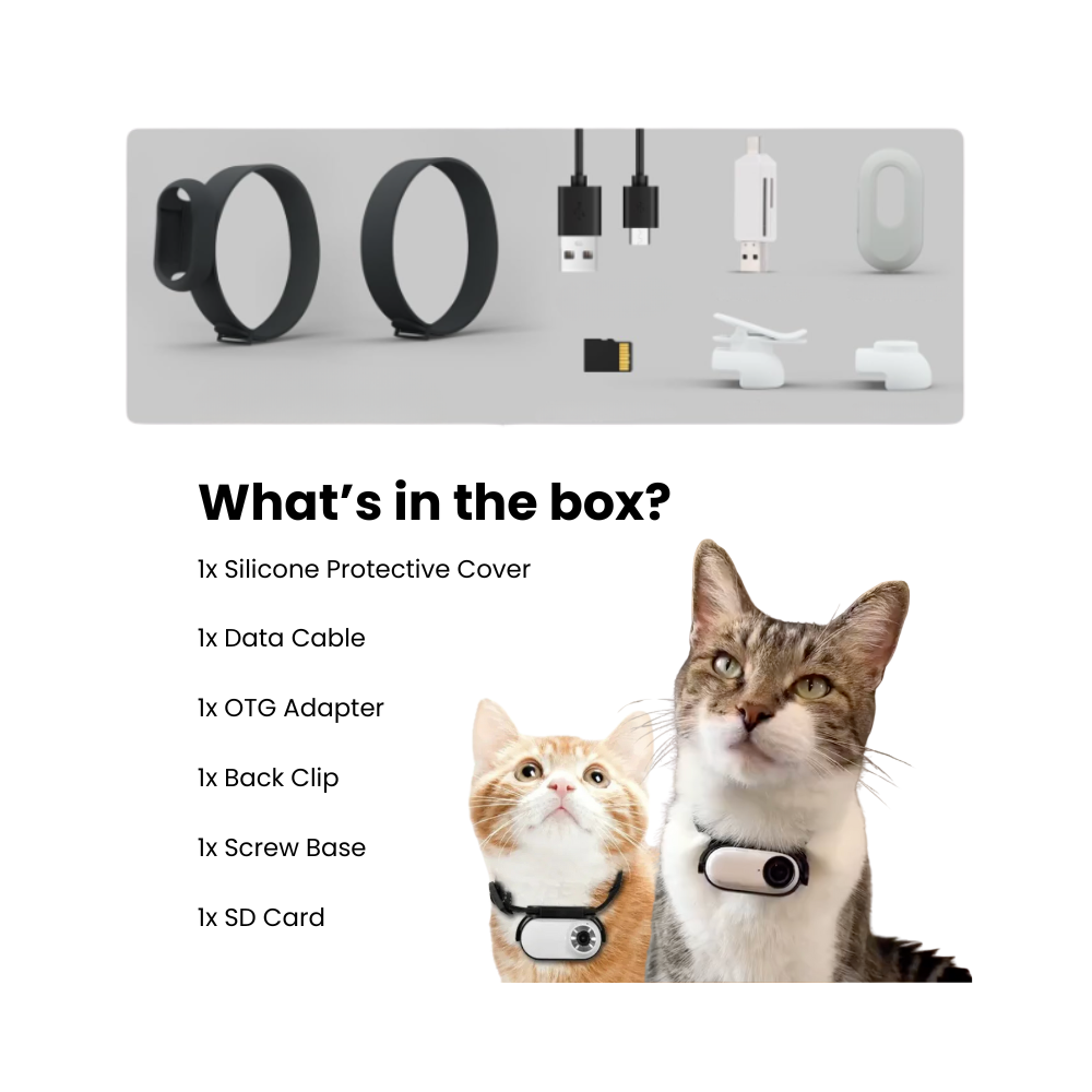 PET COLLAR CAMERA