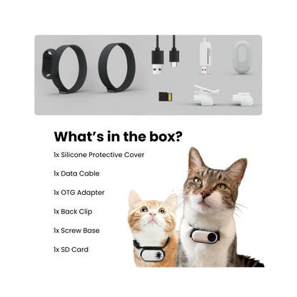 PET COLLAR CAMERA